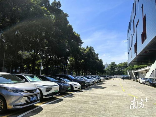 廣東省博物館回應車庫禁停新能源車 基于消防安全要求，非歧視性政策